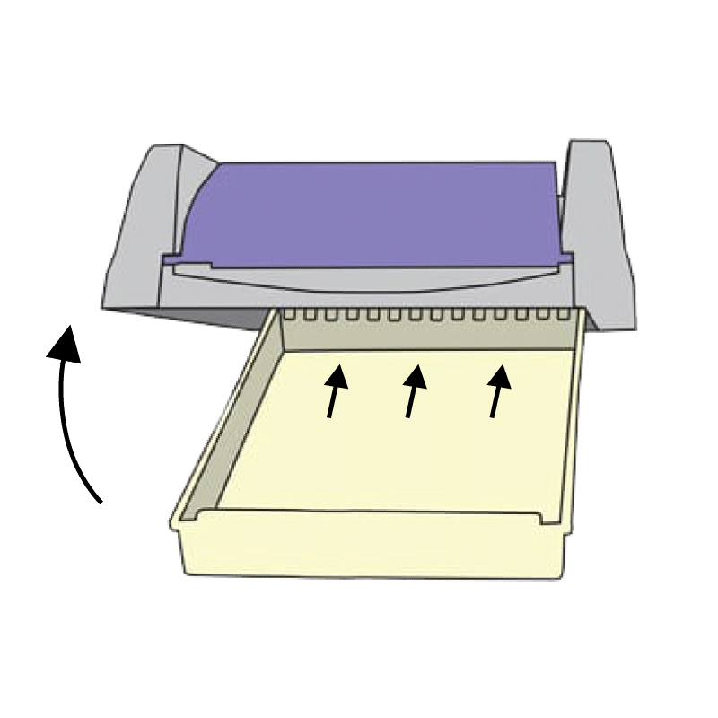 Forever Litter Tray Diagram